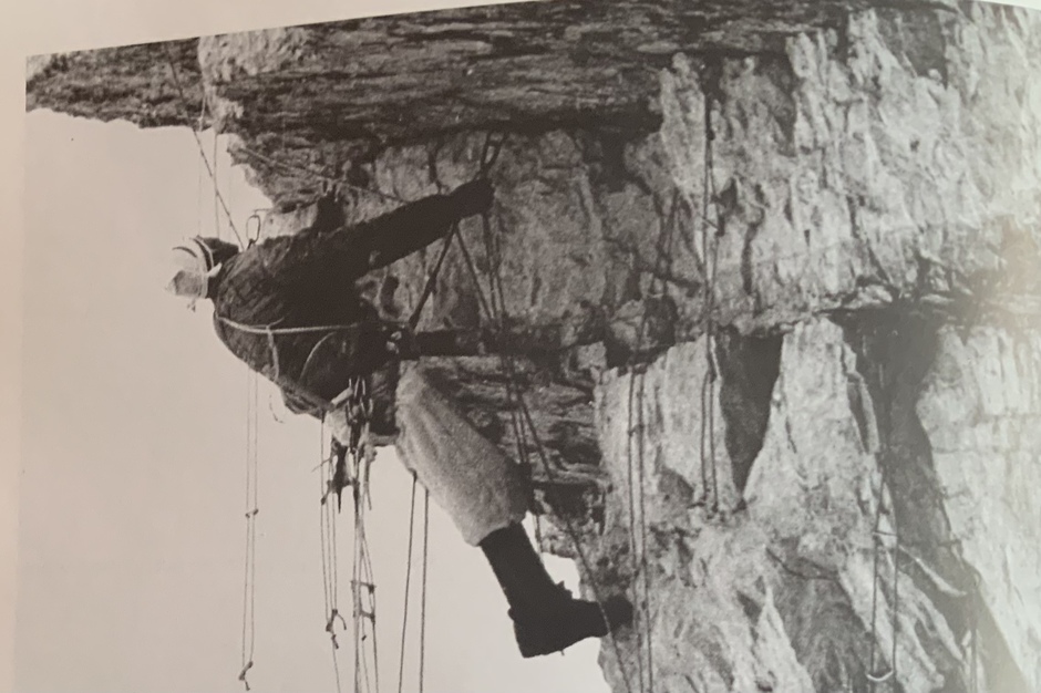 F5A512A6-4509-4305-8F89-E3D9D9F2C75E